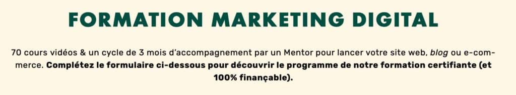 formation marketing digital