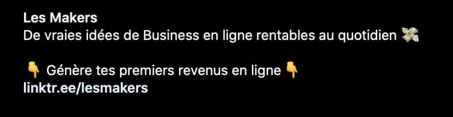 lien biographie instagram