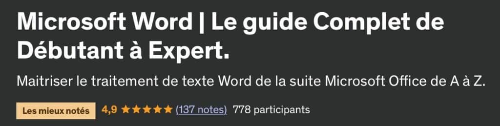 microsoft word guide complet
