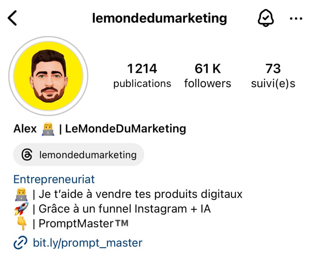 bio instagram